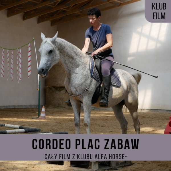 _cordeo_plac_zabaw_henio_
