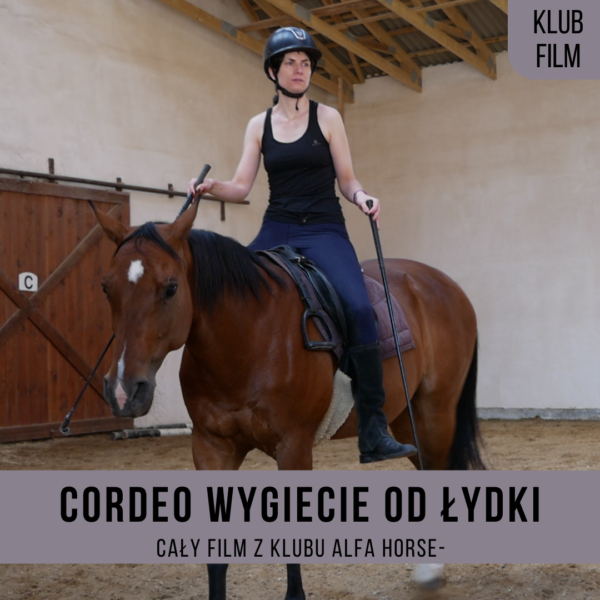 _cordeo_wygięcie_od_łydki_