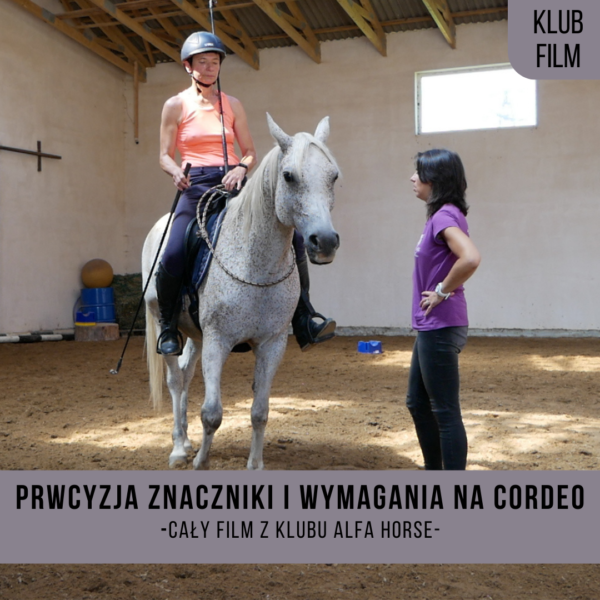 _precyzja_znaczniki_wymagania_na_cordeo_