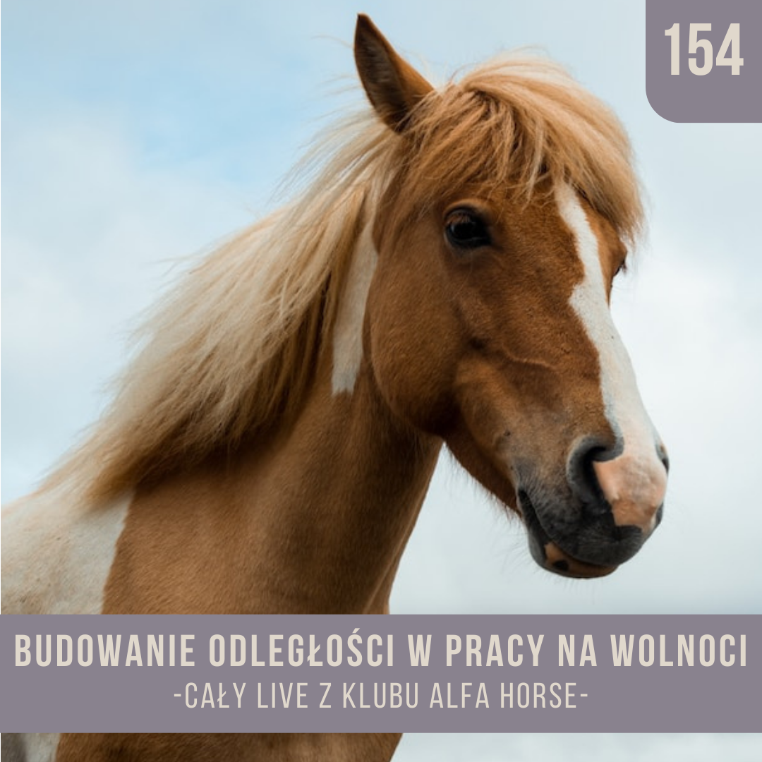 _budowanie_odległości_w_pracy_na_wolności_live_154_