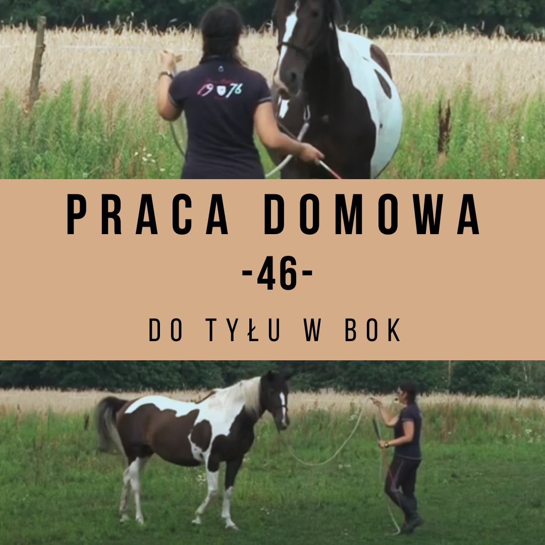 praca_domowa_46_do_tylu_w_bok