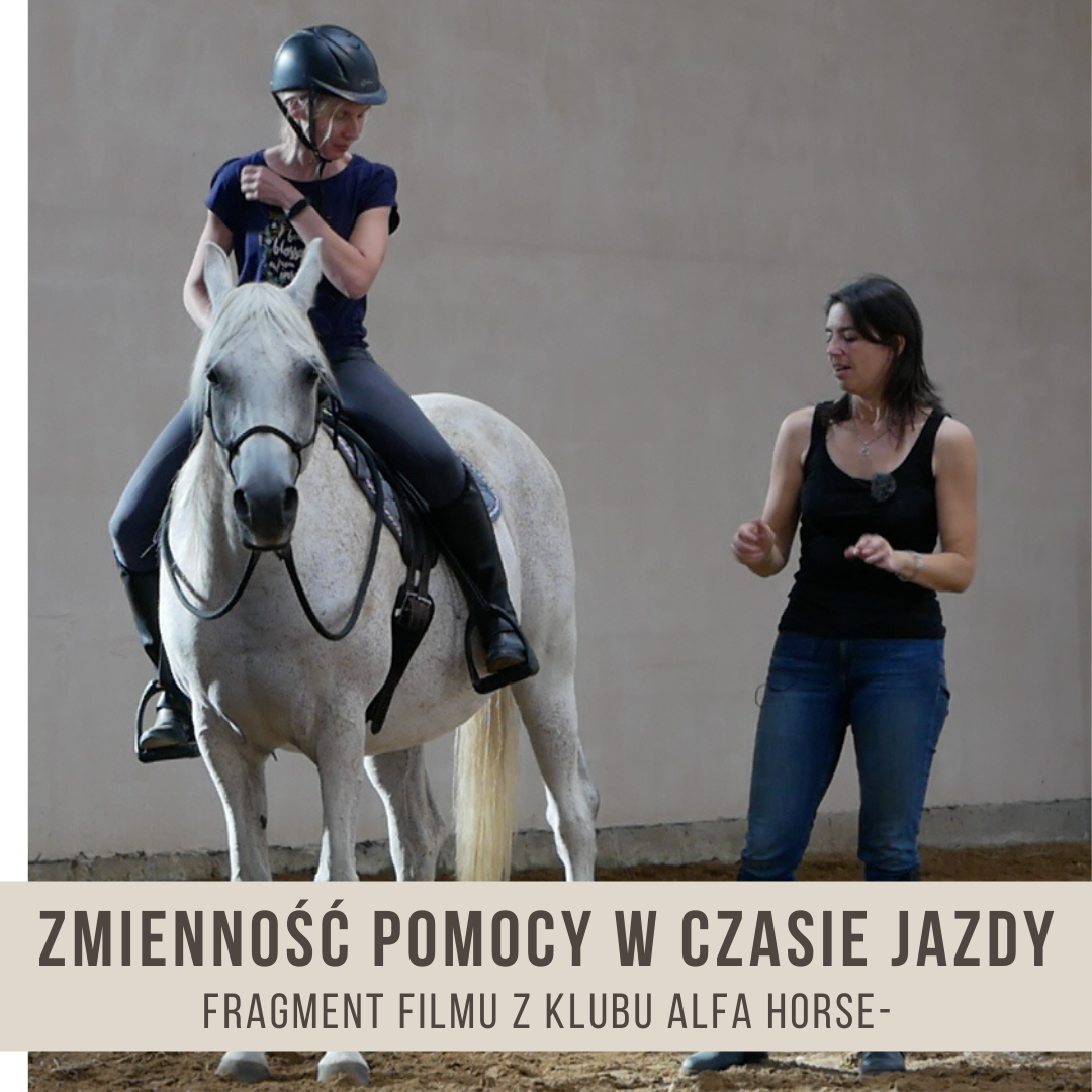_zmienność_pomocy_w_czasie_jazdy_