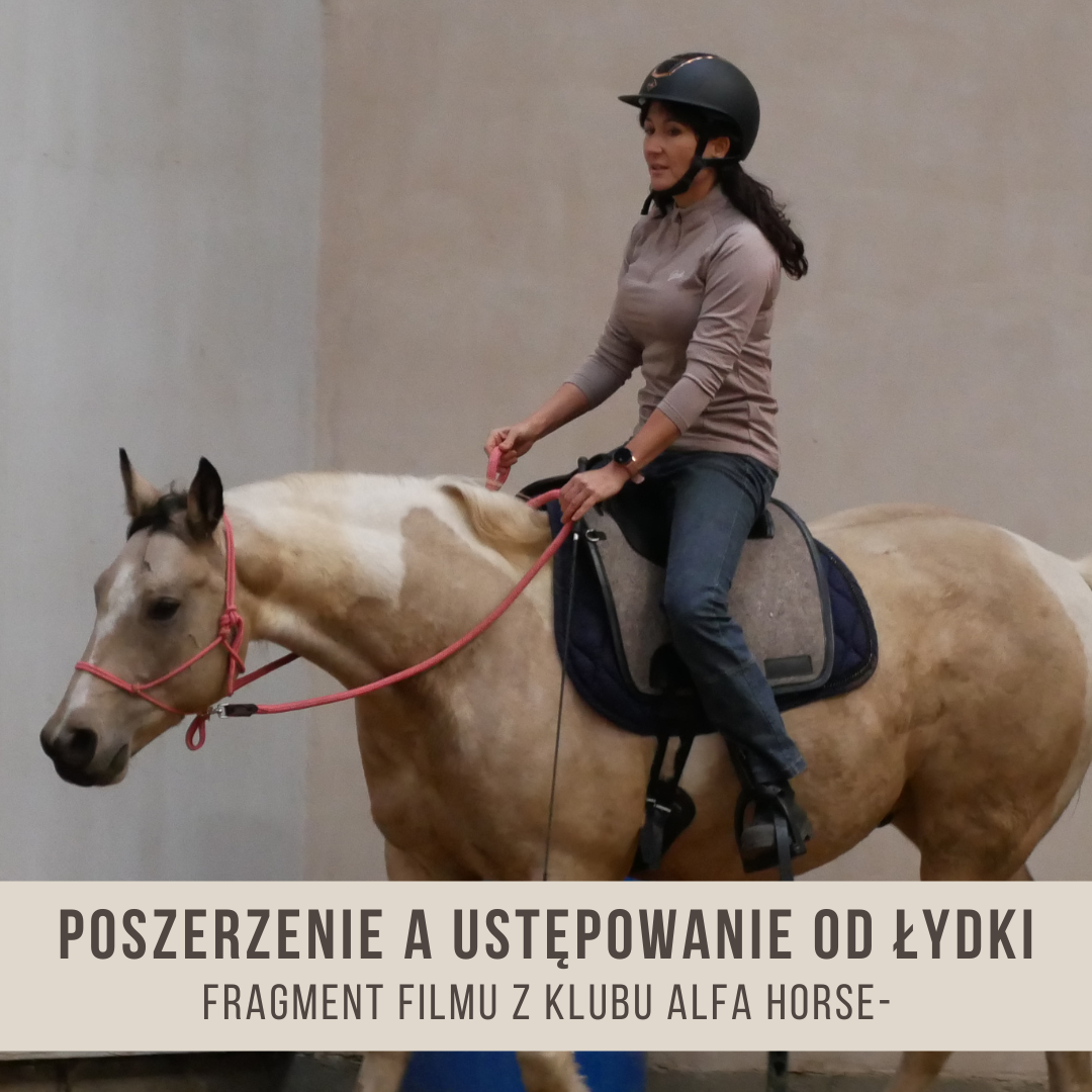 _poszerzenia_a_ustępowania_od_łydki_różnice_używania _pomocy_