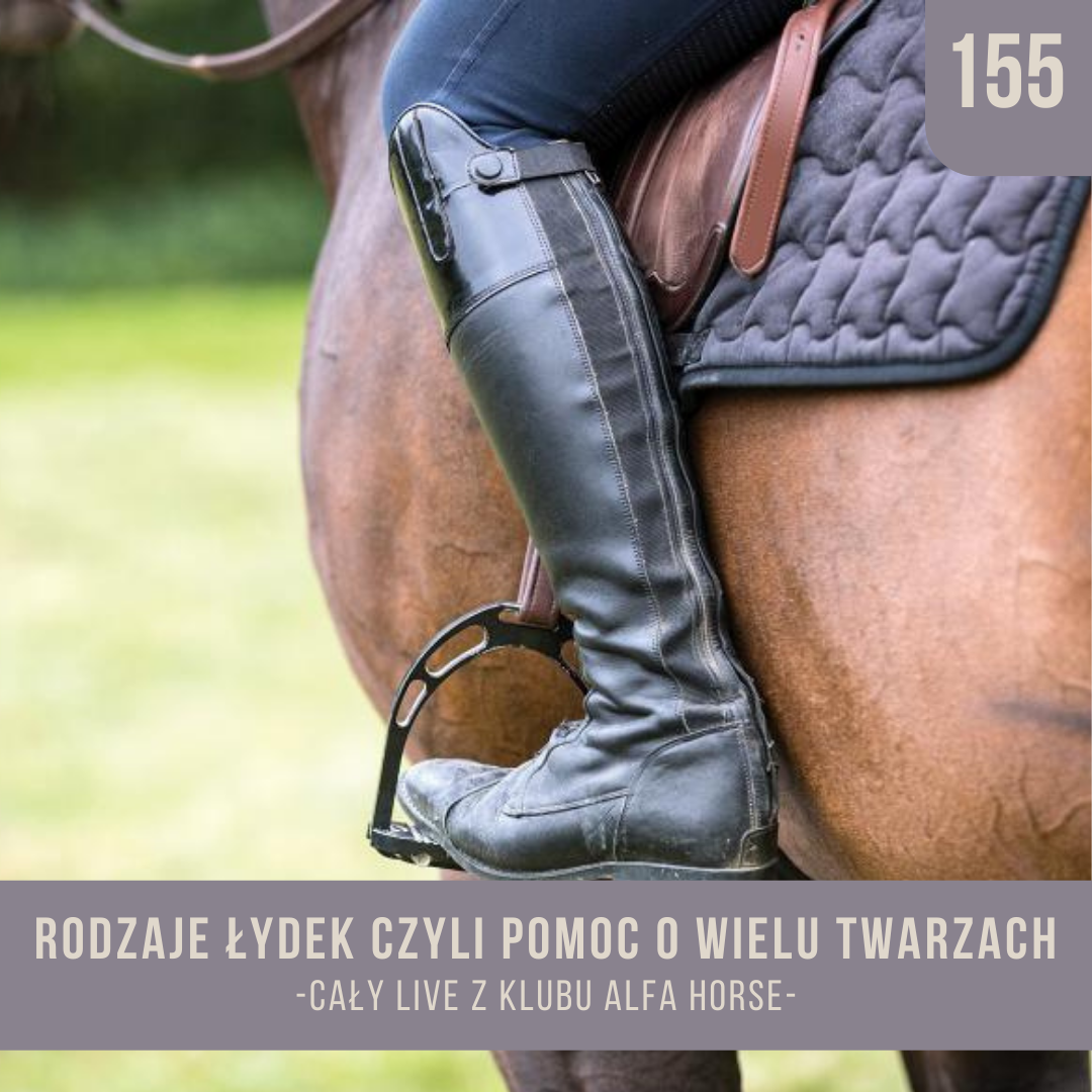 _rodzaje_łydek_czyli_pomoc_o_wielu_twarzach_live_155_