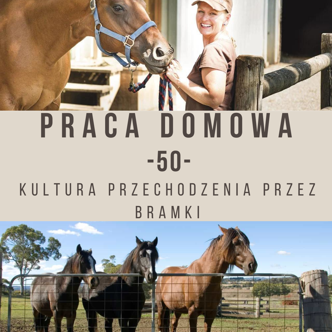 Praca domowa 50 Kultura przechodzenia przez bramki