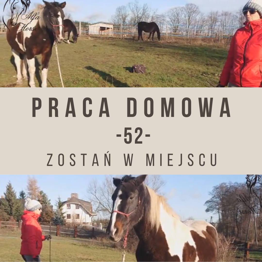 Praca domowa 52 Zostań w miejscu