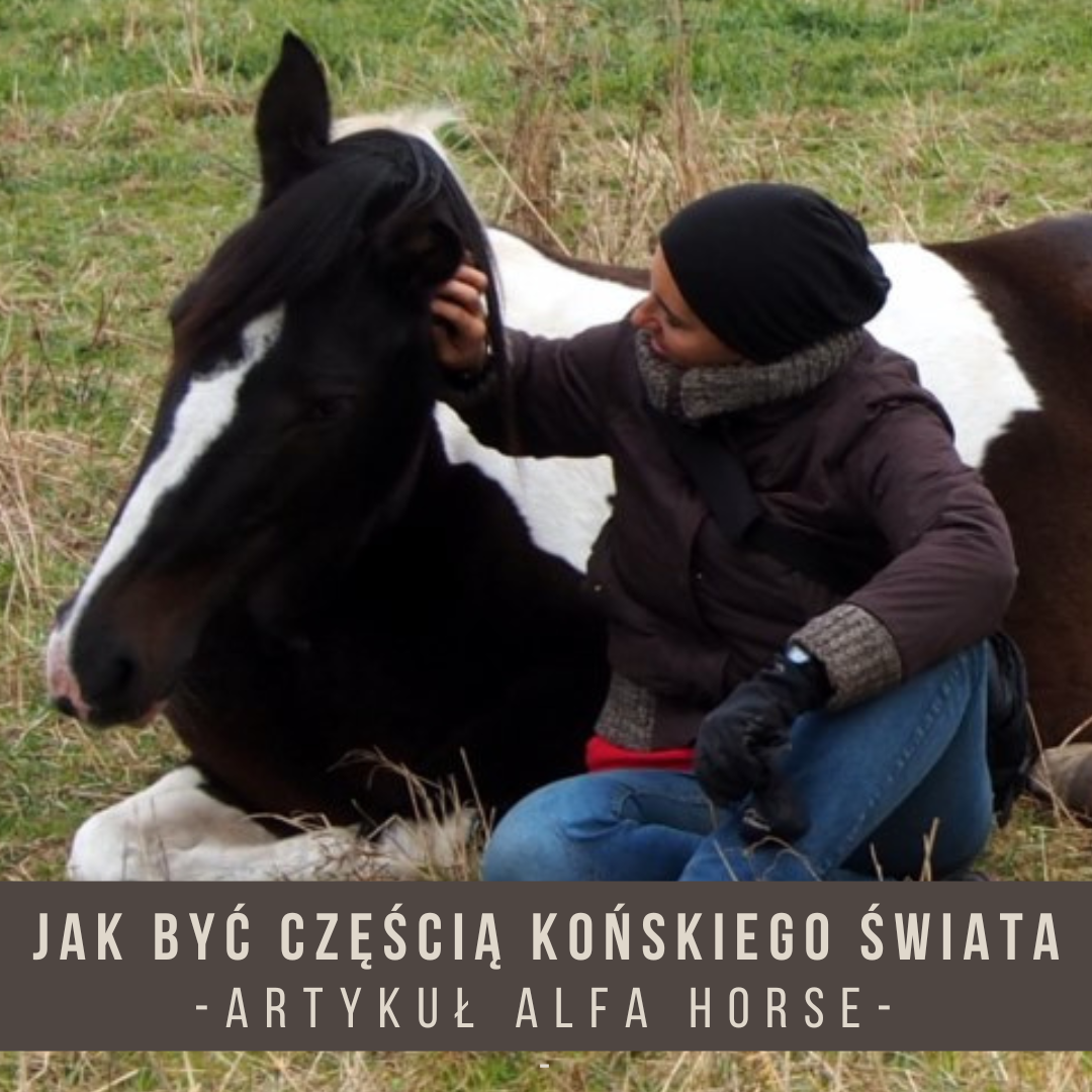 jak_byc_czescia_konskiego_swiata