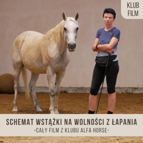 schemat_wstazki_na_wolnosci_lapanie_henio