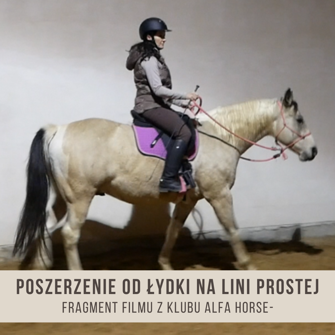 _poszerzenie_od_łydki_na_lini_prostej_zapoznanie_z_wygięciem_