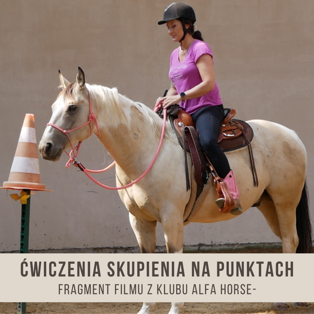 _ćwiczenia_skupienia_na_punktach_