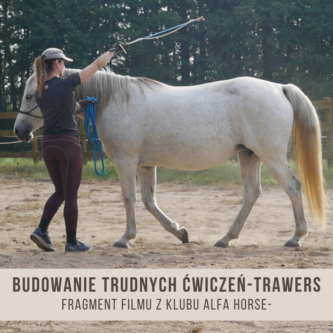 _budowanie_trudnych_cwiczeń_trawers_