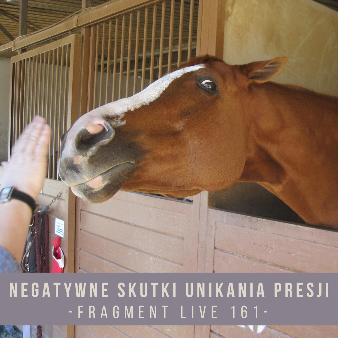 _negatywne_skutki_unikania_presji_fragment_live_161
