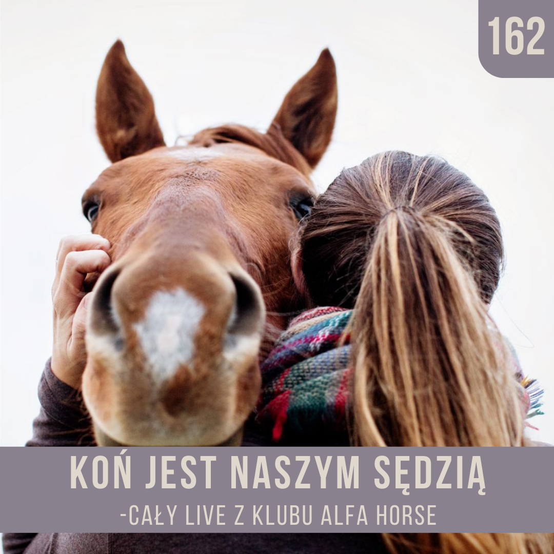 _koń_jest_naszym_sędzią_live_162_
