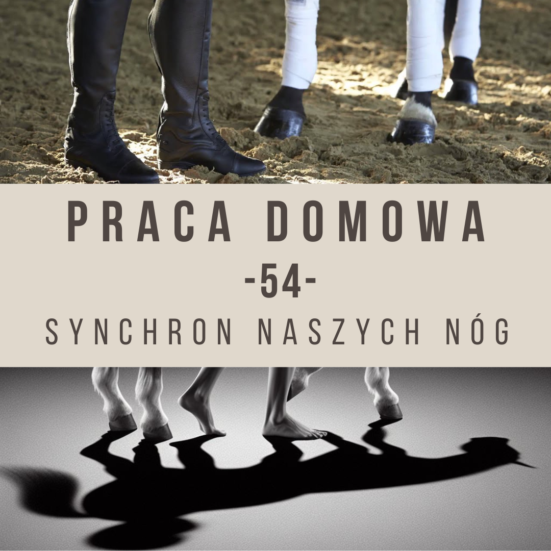 Praca domowa 54 Synchron naszych nóg