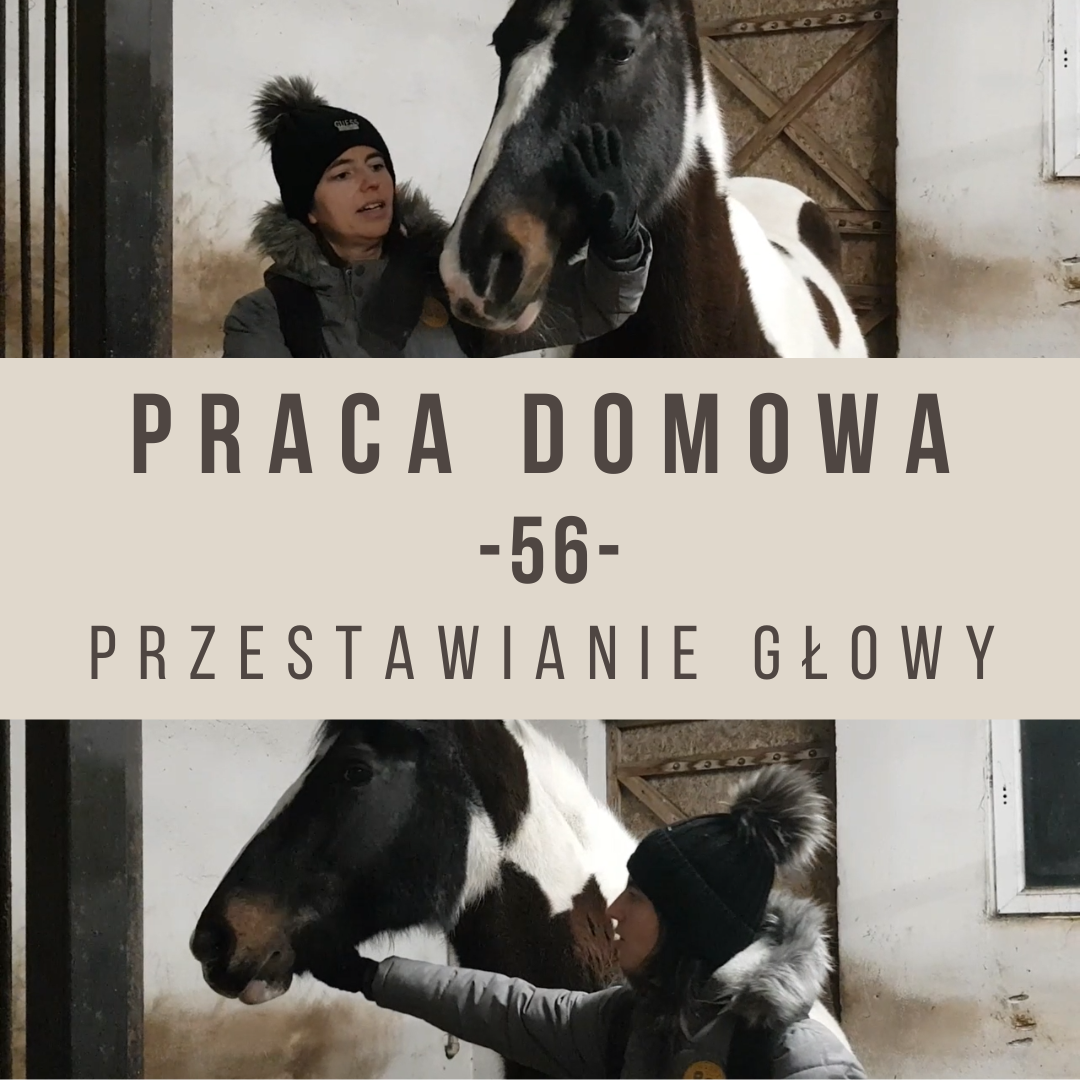 Praca domowa 56 Przestawianie głowy do zmiany stron