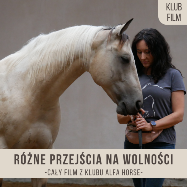 _różne_przejścia_na_wolności_saracen_