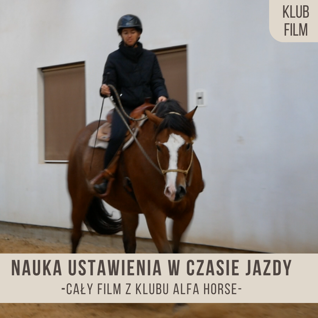 nauka_ustawienia_w_czasie_jazdy