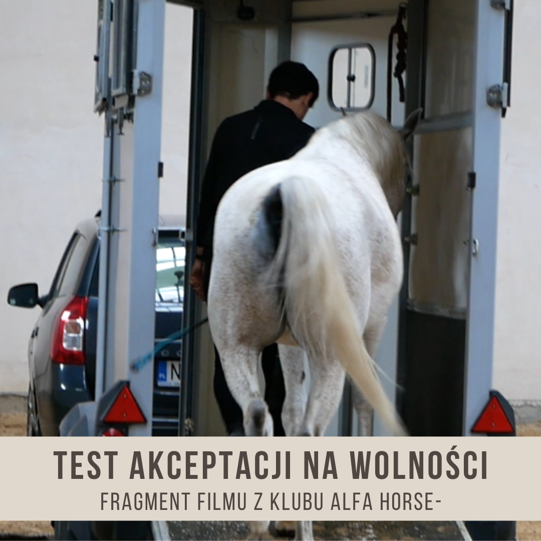 _test_akceptacji_na_wplności_przyczepa_
