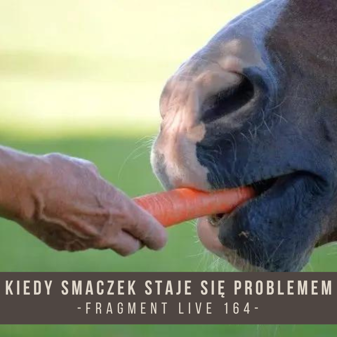 _Kiedy_smaczek_staje_się_problemem_fragment_live_164_