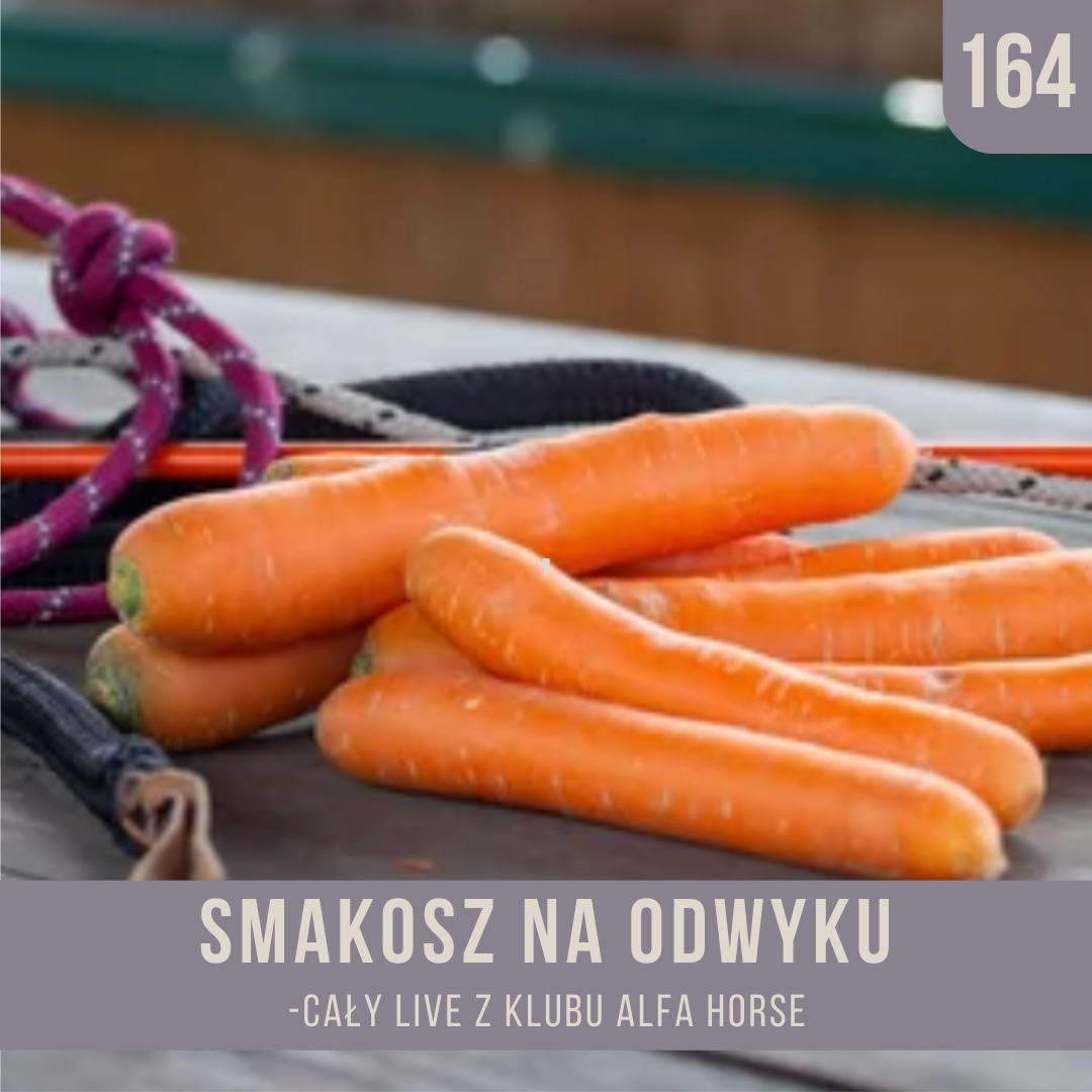 _smakosz_na_odwyku_live_164_