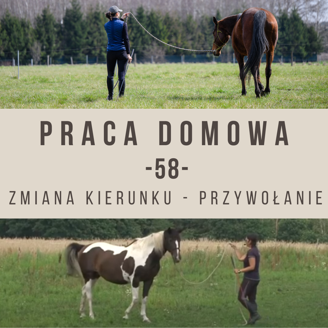 Praca domowa 58 Zmiana kierunku przez Przywołanie