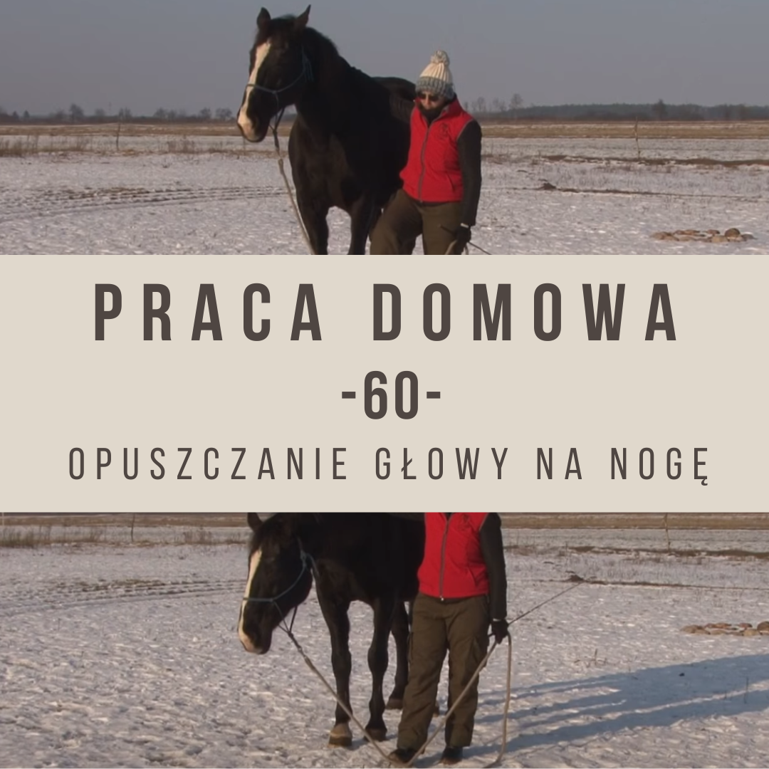 Praca domowa 60 Opuszczanie głowy na nogę