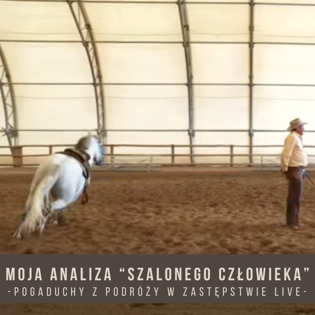 Analiza Szalonego Człowieka - Pogaduchy z podróży