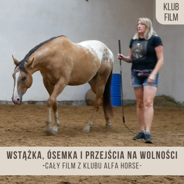 _wstążka_ósemka_przejścia_na_wolności_baby