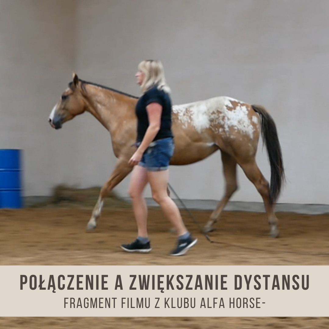 _połączenie_a_zwiększenie_dystansu