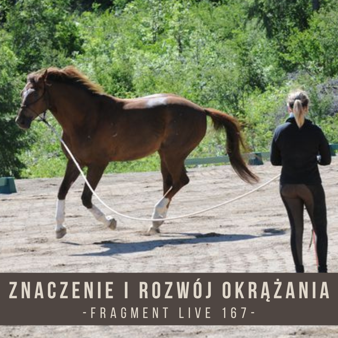 _znaczenie_i_rozwój_okrążania_fragment_live_167_