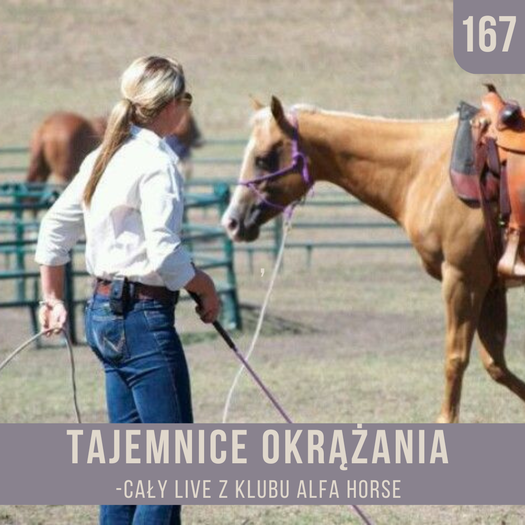 _tajemnice_okeążania_live_167_