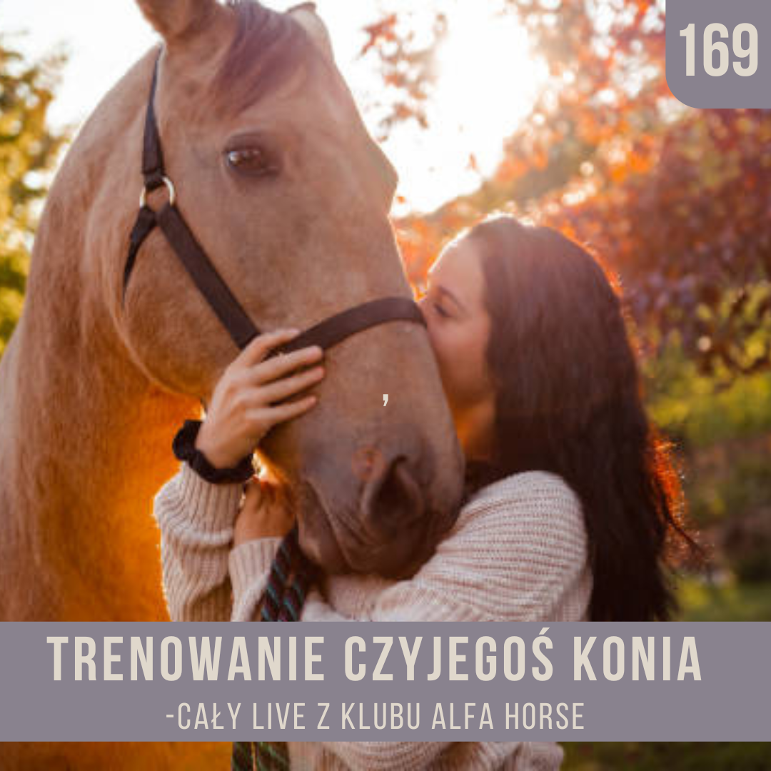 _trenowanie_czyjegoś_konia_live_169_