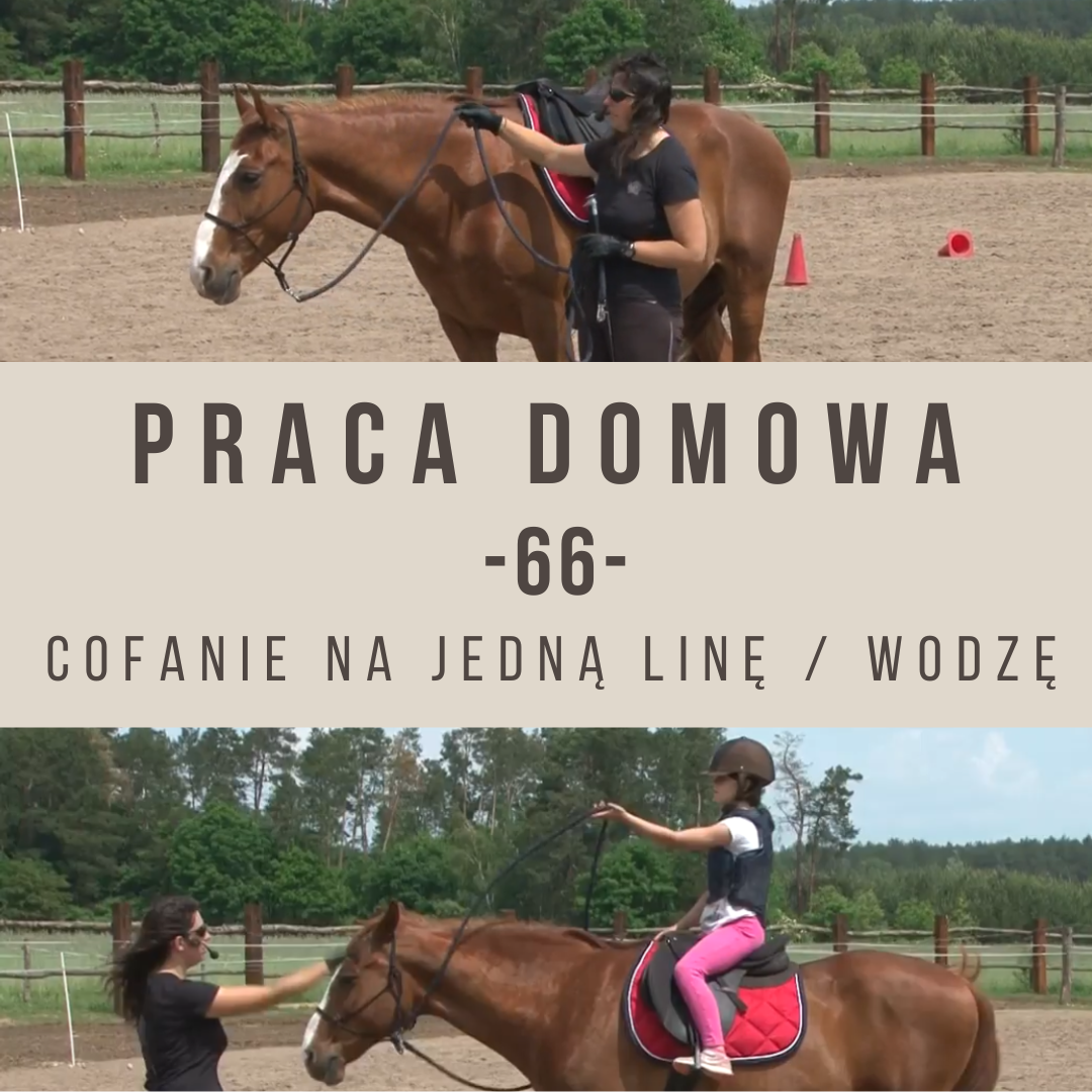 praca_domowa_66_cofanie_na_jedna_line_wodze