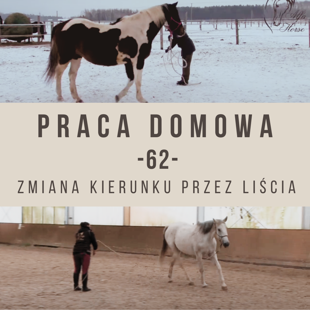 Praca domowa 62 Zmiana kierunku przez Liścia