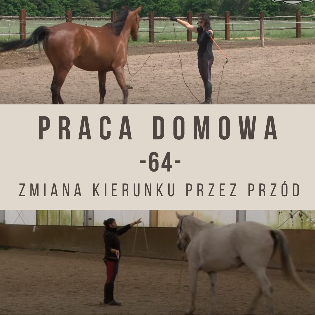 Praca domowa 64 Zmiana przez Przód