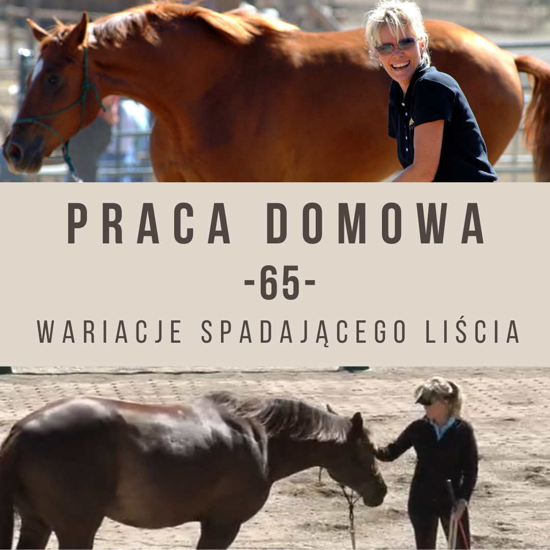 Praca domowa 65 Wariacje Spadająćego Liścia Linda & Allure