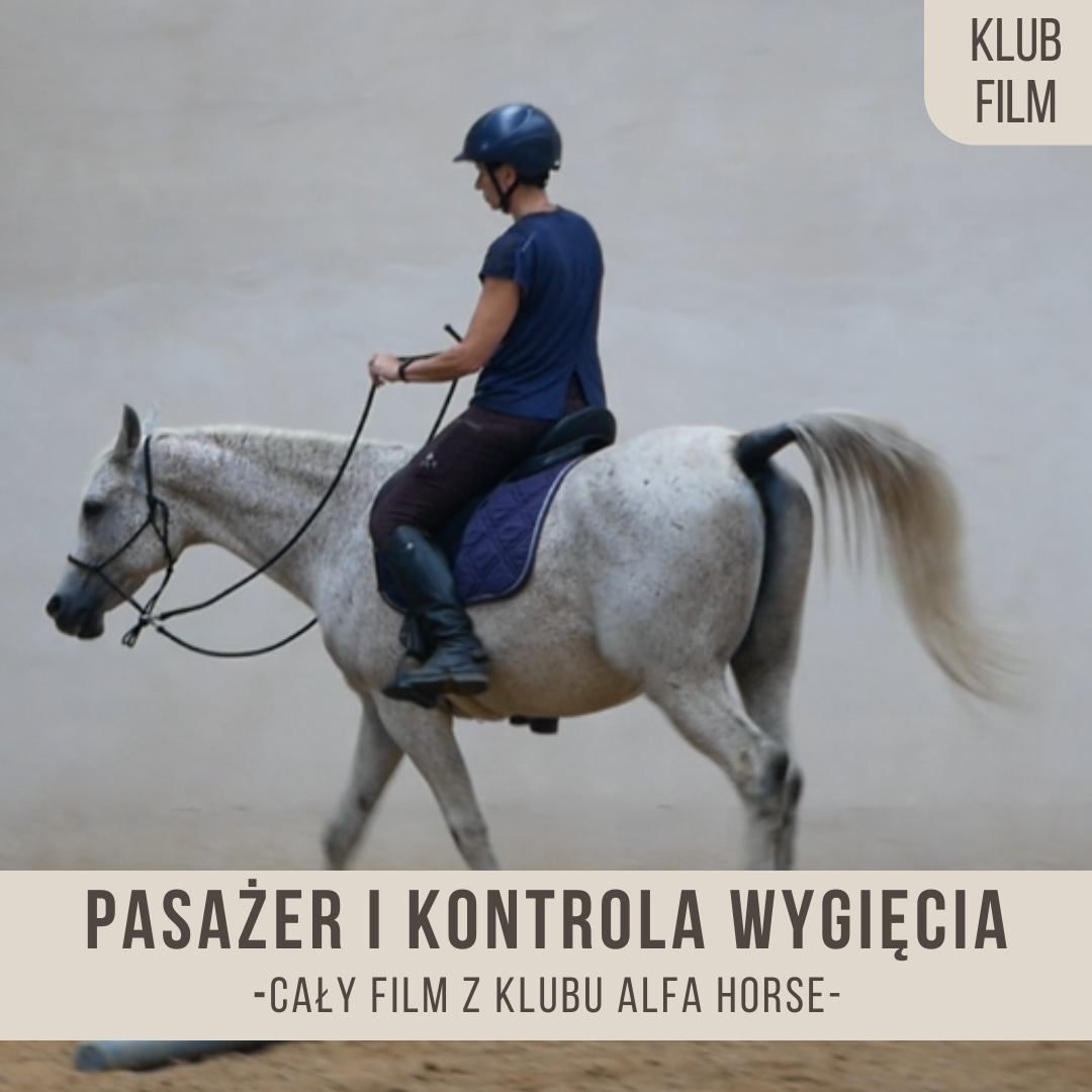 _pasażer_i_kontrola_wygięcia_henio_
