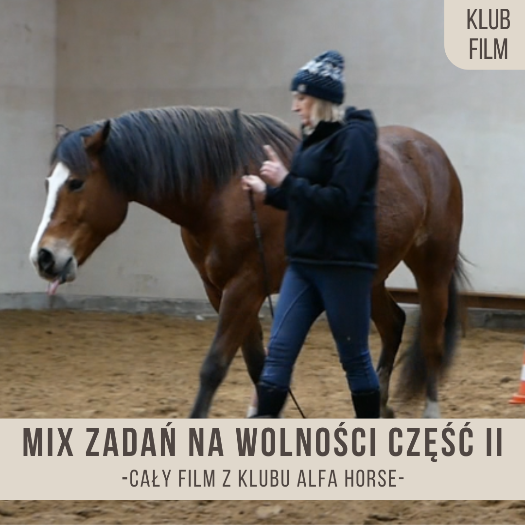 mix_zadan_na_wolnosci_czesc_druga