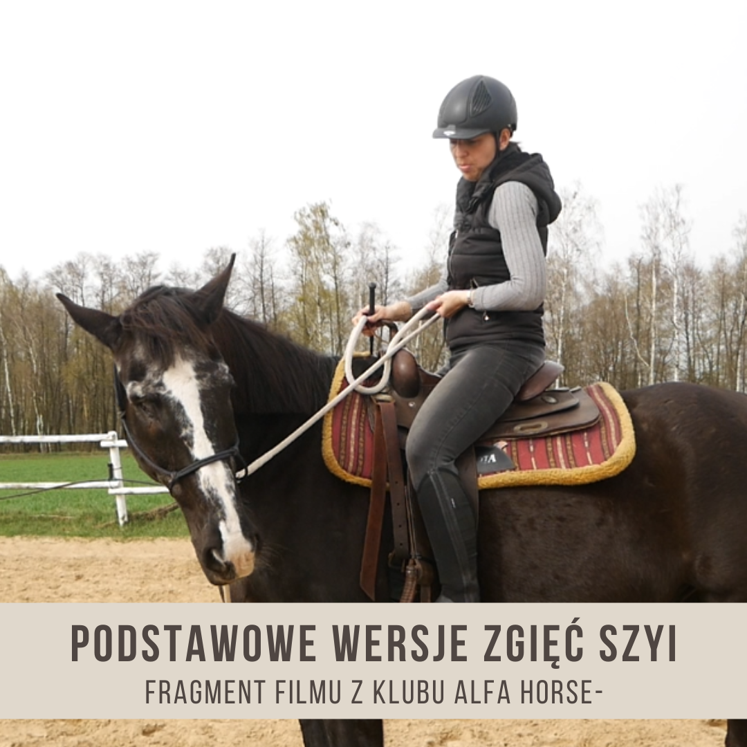 podstawowe_wersje_zgiec_szyi