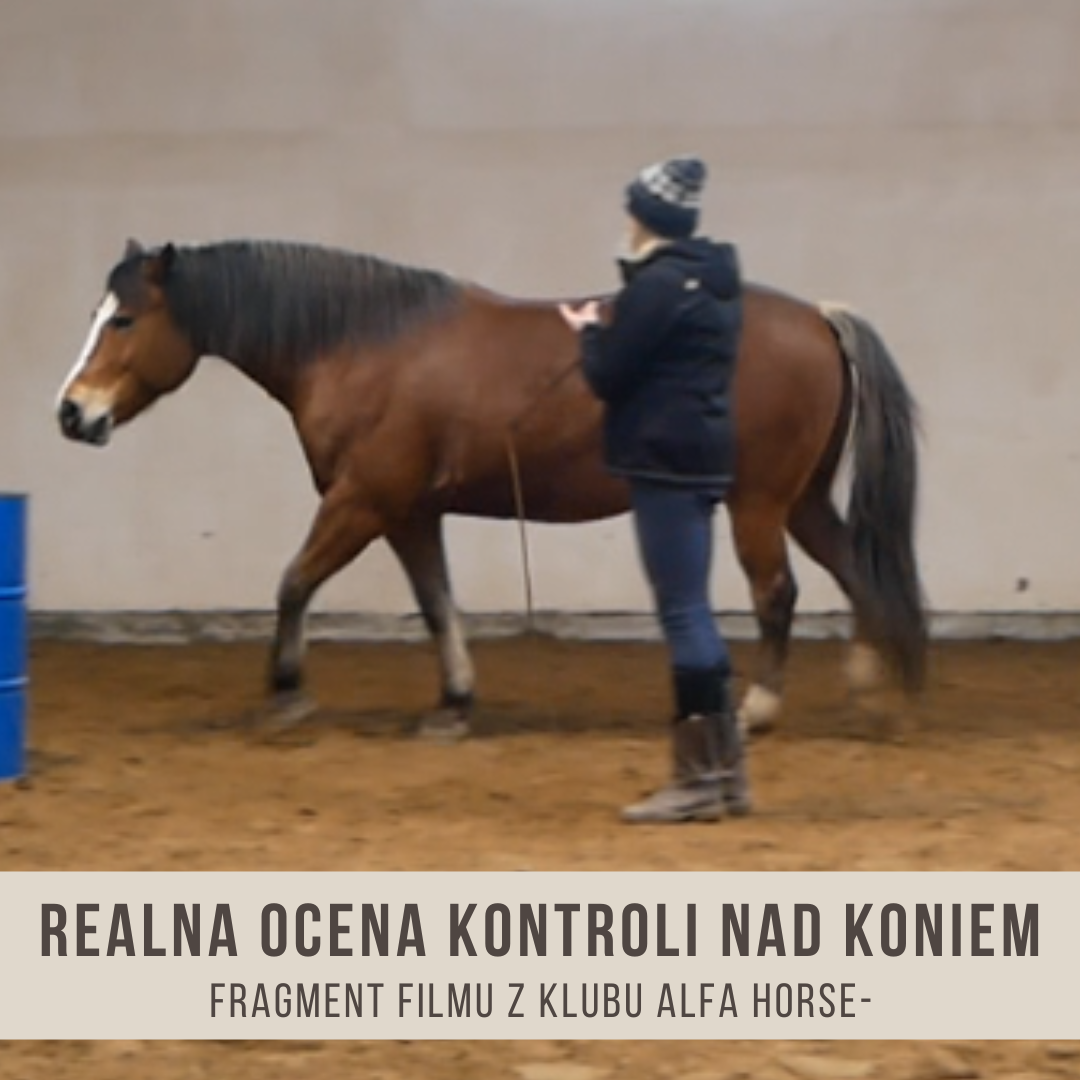 realna_ocena_kontroli_nad_koniem