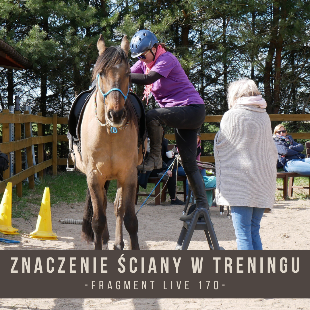 _znaczenie_ściany_w_treningu_fragment_live_170_