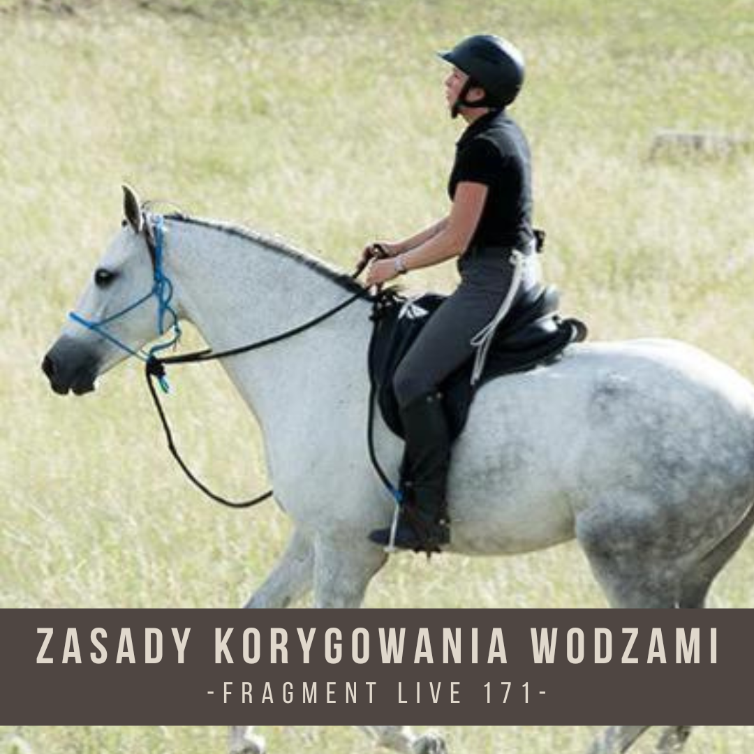 zasady_korygowania_wodzami_fragment_live_171