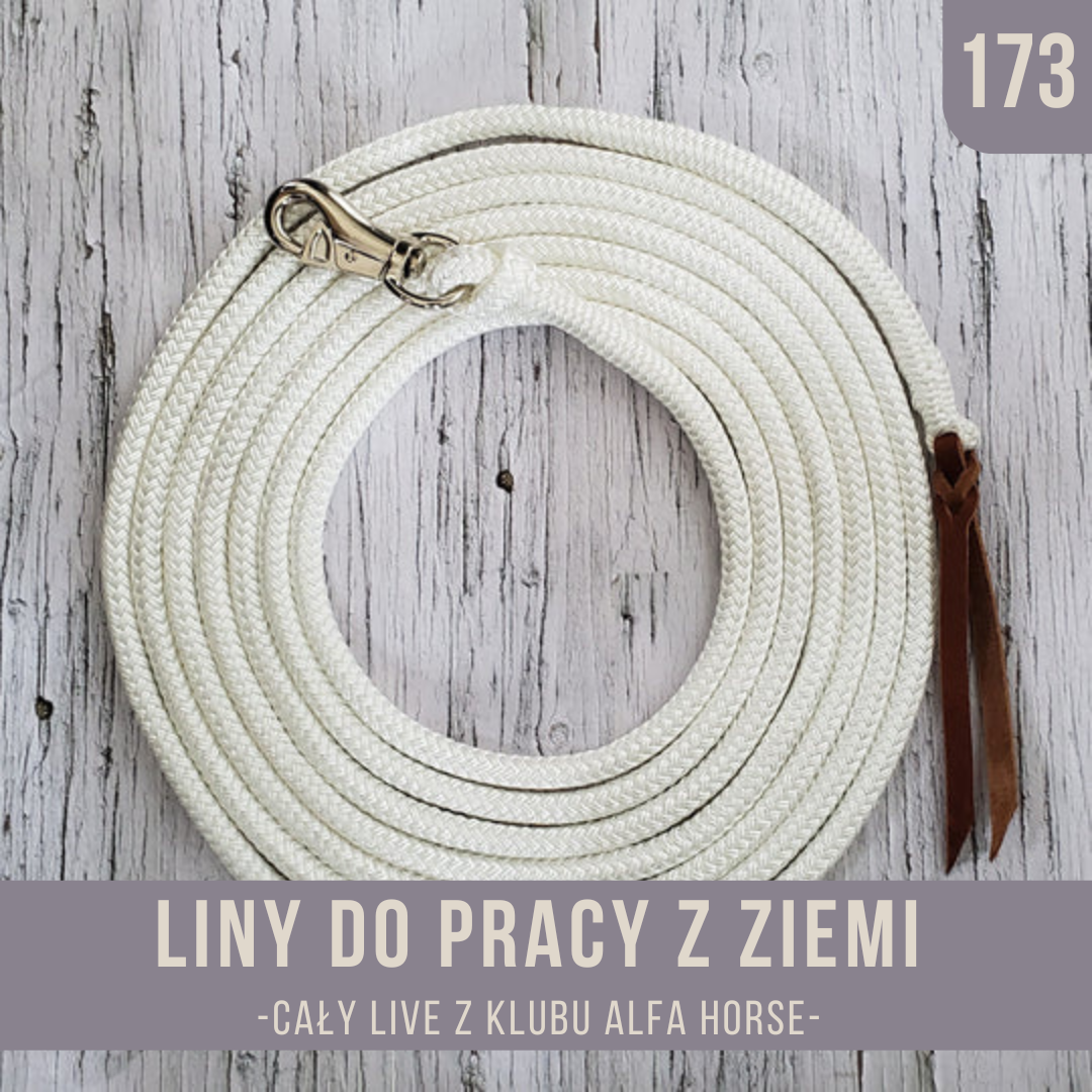 liny_do_pracy_z_ziemi_live_173