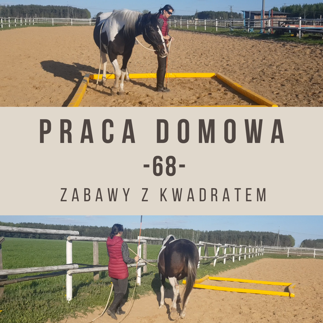 Praca domowa 68 Zabawy z kwadratem