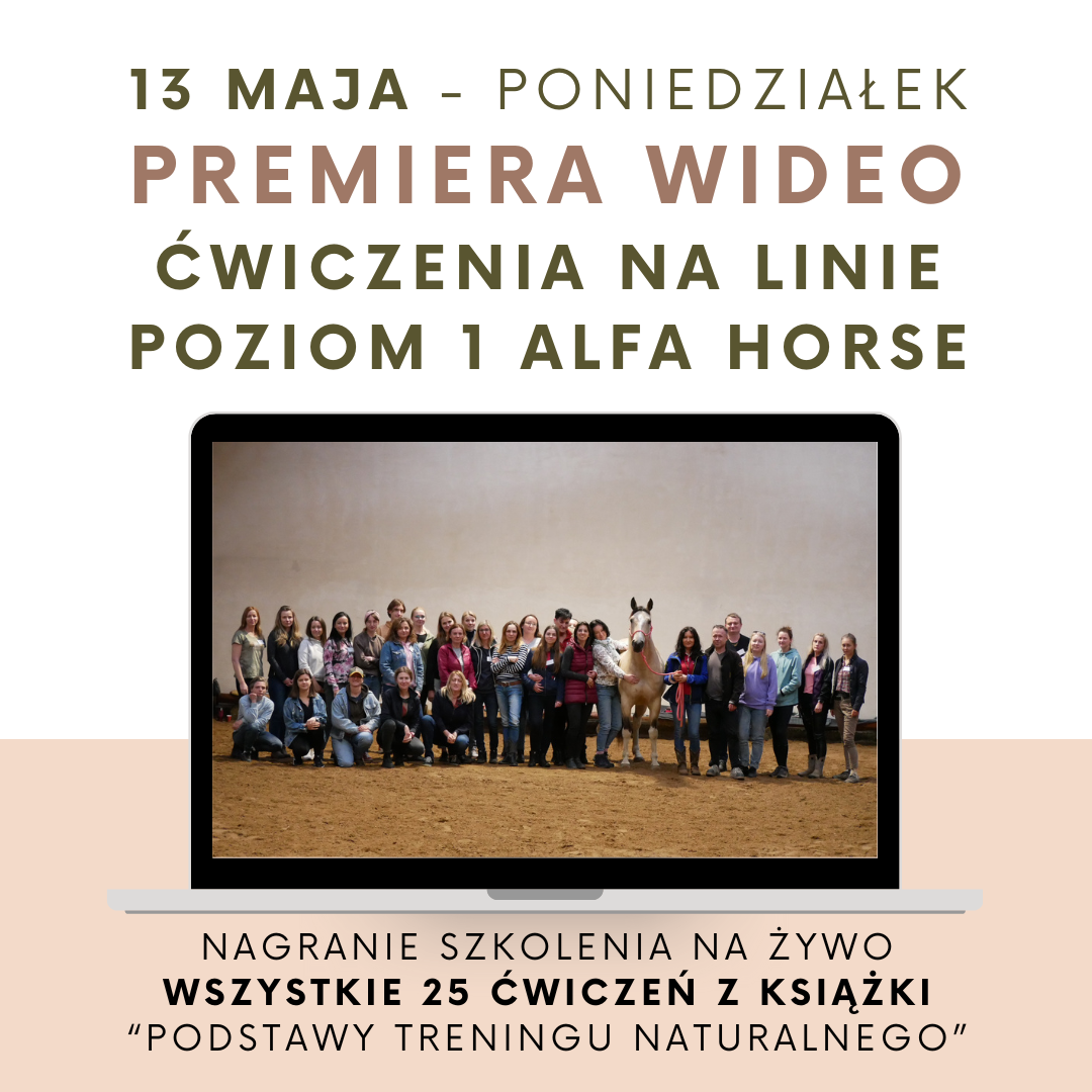 cwiczenia_na_linie_poziom_1_alfa_horse_treinng_koni