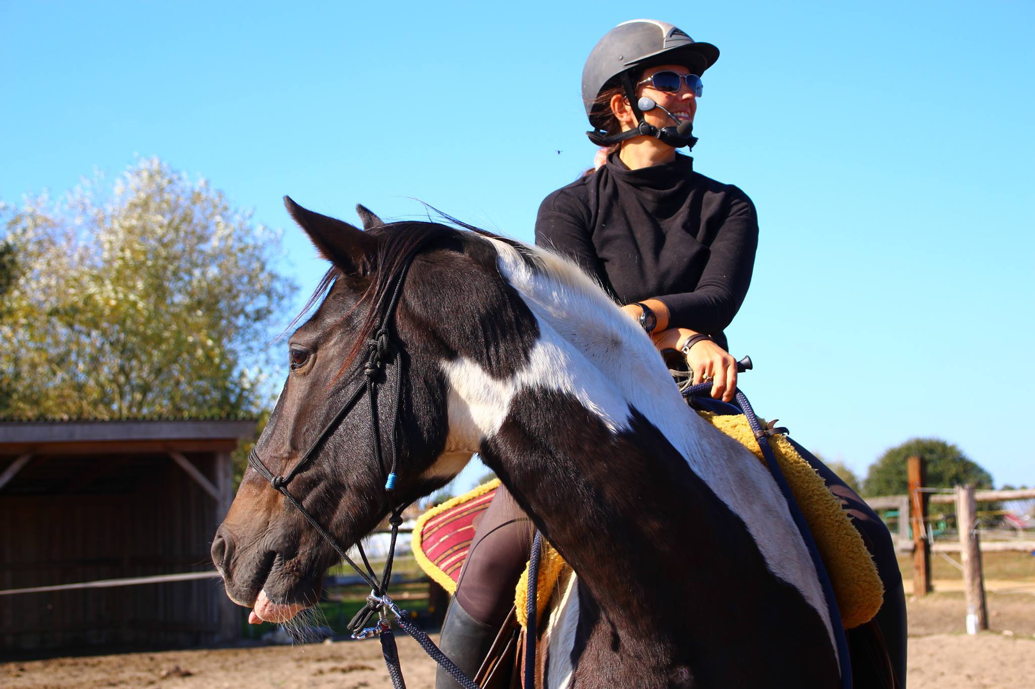 alhambra_kasia_alfahorse