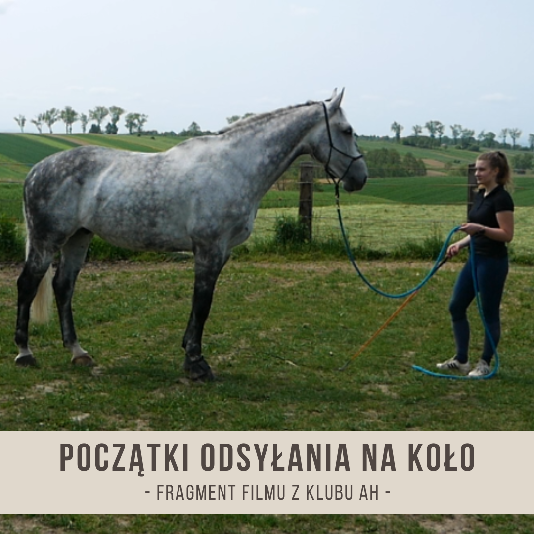 poczatki_odsylania_na_kolo