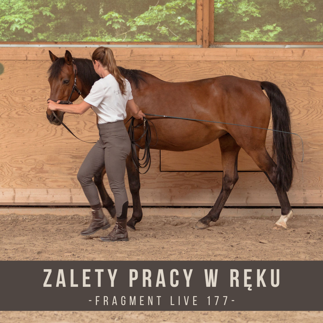 zalety_pracy_w_reku_fragment_live_177