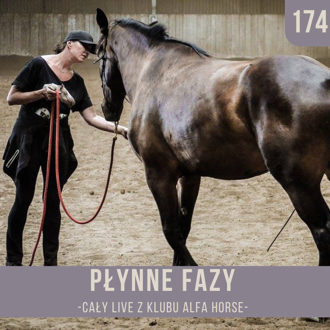 plynne_fazy_live_174