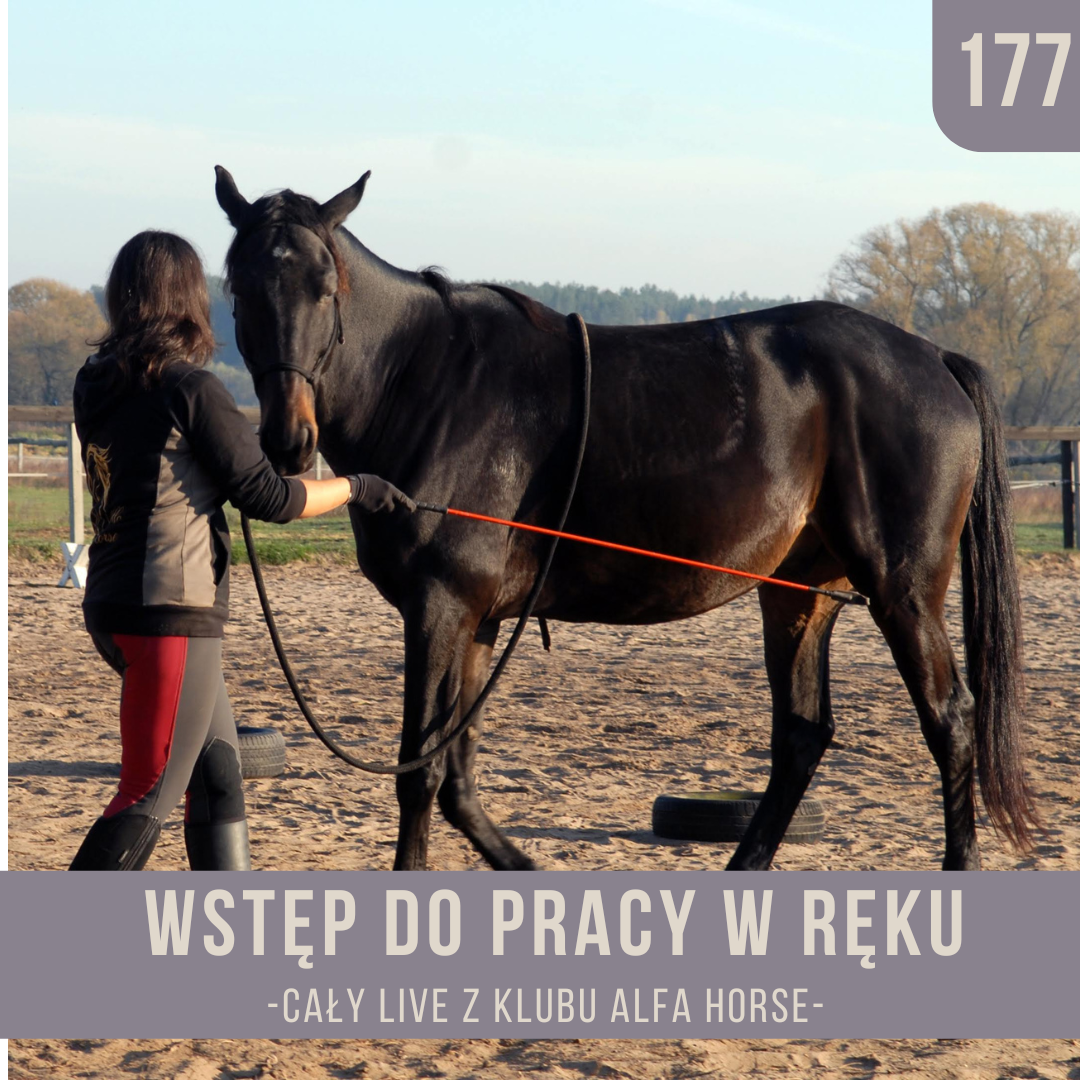 wstep_do_pracy_w_reku_live_177